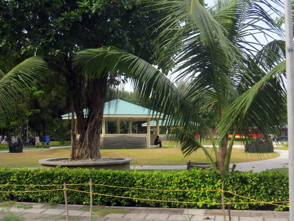 Coral Queen Inn Hulhumalé Eksteriør billede